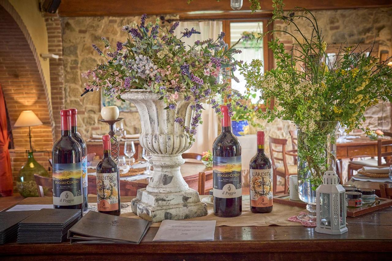 Maison d'hôtes Il Poggio à Celle sul Rigo Extérieur photo