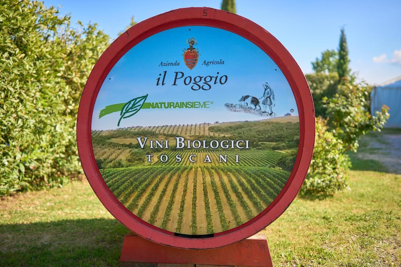 Maison d'hôtes Il Poggio à Celle sul Rigo Extérieur photo
